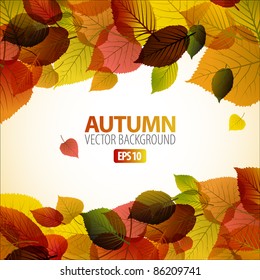 Vector Autumn abstract background with colorful leafs and place for your text