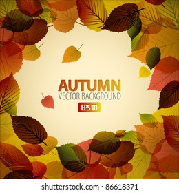 Vector Autumn abstract background with colorful leafs and place for your text