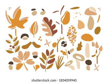 Vector autumn abstract cliparts set forest plants, lives and mushrooms. Isolated on white background.