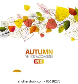 Vector Autumn abstract floral background with place for your text