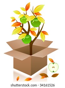 Vector autumn apple tree.