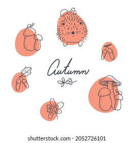 Vector autumn arrangements. A hedgehog, mushrooms, an ant, acorns and wild berries. Suitable for cards,  invitations, paper and others