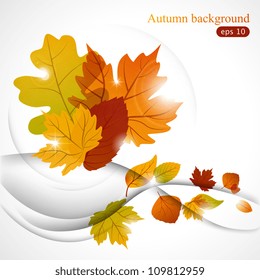 Vector autumn background