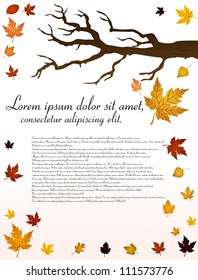 Vector autumn background