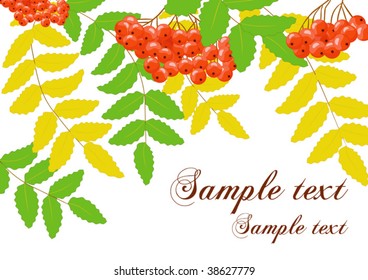 vector autumn background