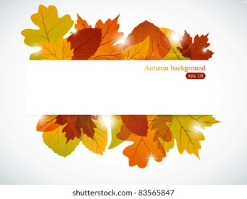 Vector autumn background