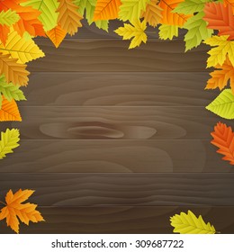 vector autumn background with colored leaves on wooden board. isolated. editable

