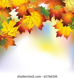 Vector autumn background with colorful leaves