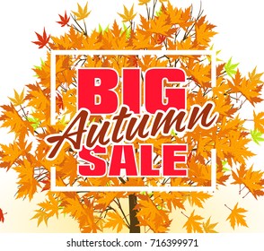 Vector Autumn background Design with maple leaf