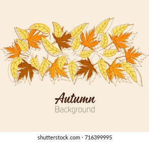 Vector Autumn background Design with maple leaf