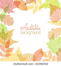 Vector autumn background. Autumn hand-drawn leaves on white background. There is place for your text in the center.