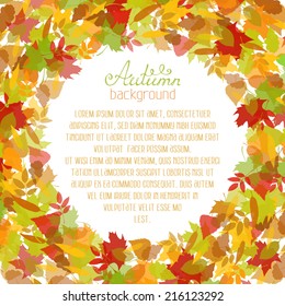 Vector autumn background. Autumn hand-drawn leaves on white background. There is place for your text in the center.