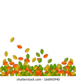 Vector Autumn background with leaves