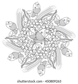 Vector autumn background with oak leaves, Rowan berries, ears of wheat, barley or rye for adult coloring pages. Hand drawn artistic monochrome illustration in ethnic, zentangle style. Doodle design.
