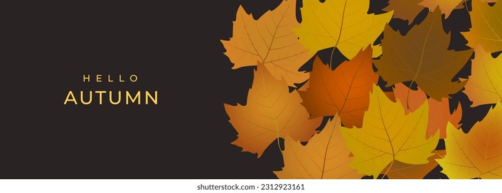 Vector autumn background with realistic maple leaves on dark brown backdrop. Hello autumn concept wide banner for shopping sale or promo poster template. Vector illustration