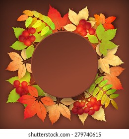 Vector autumn background with rowan berry and maple fall leaves