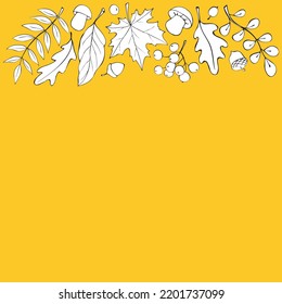 Vector autumn background, template with space and border of leaves, mushrooms, acorns, berries on upper edge. For ending, frame, children's print. Theme is forest, happy fall, thanksgiving