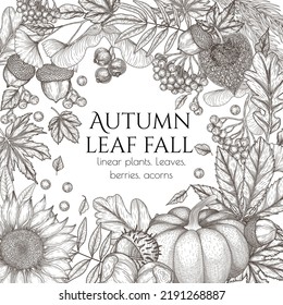 Vector autumn banner template in engraving style. Graphic linear oak leaf, acorns, berries, maple leaves, ginkgo, chestnut, physalis, rowan, sunflower, pumpkin