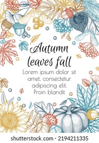 Vector autumn banner template in engraving style. Graphic linear oak leaf, acorns, berries, maple leaves, ginkgo, chestnut, physalis, rowan, sunflower, pumpkin