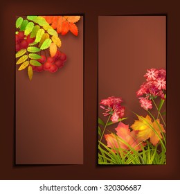 Vector autumn banners with rowan berry and maple fall leaves, flowers, grass