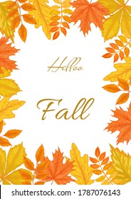Vector autumn beautiful frame of yellow and red leaves. Maple, birch, rowan, oak, horse chestnut.
