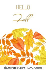 Vektor Herbst schöner Rahmen von gelben und roten Blättern. Ahorn, Birke, Rowan, Eiche, Rosskastanie.