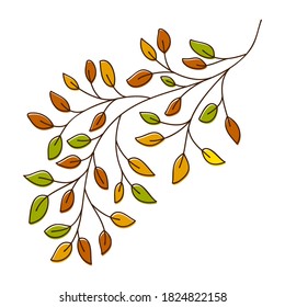 Vektorgrafik eines Herbstbruchs. Handgezogene Blätter und Ast einzeln auf Weiß. Doodle Birch Herbstblätter für Design. Vektorgrafik. Botanischer Ausdruck. Organische Naturform