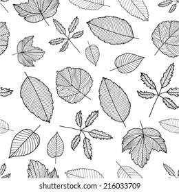 vector autumn black and white hand drawn line leaves seamless background, texture