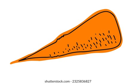 Vector autumn bright orange Carrot with black outline. Isolated Element for autumn festive designs, stickers, cards in autumn falling leaf colors on white background. Harvest festival. Lineart