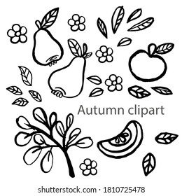 Vector autumn clipart with apples, autumn leaves, pears and flowers . Doodling for children's coloring book design, developing books