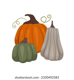 Vector autumn clipart pumpkins isolated from background. Cozy illustration of vegetables for sublimation, postcards and stickers. Gardening picture.