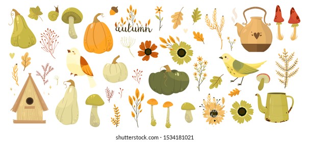 Vector autumn collection. Pumpkin, mushroom, bird, leaves.