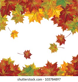 Vector of autumn  colorful leaves.