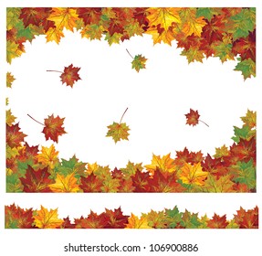 Vector of autumn colorful leaves.