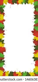 Vector of autumn colorful leaves