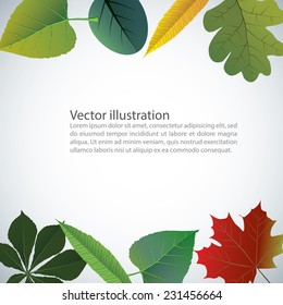 Vector of autumn colorful leaves. Frame for text
