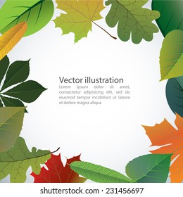Vector of autumn colorful leaves. Frame for text