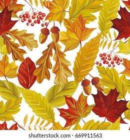 Vector autumn composition of rowan acorn and red yellow leaves of oak, maple, birch. Seamless pattern nature white background
