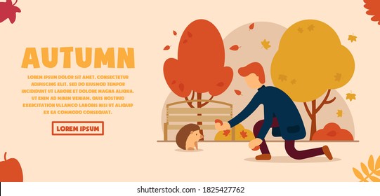 Vector autumn concept. A man in an autumn, beautiful park feeds a hedgehog from his hands. Autumn animals. Can be used for website and web banner.