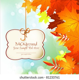 vector autumn congratulatory and festive background with leaves and blue sky