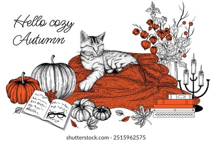 Tarjeta de ilustración acogedora de otoño de Vector. Gato rayado en manta de punto, calabazas, libros, hojas de otoño, ramo de physalis, velas