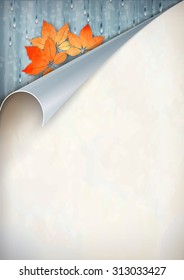 Vector autumn curled corner card with fall leaves, rain