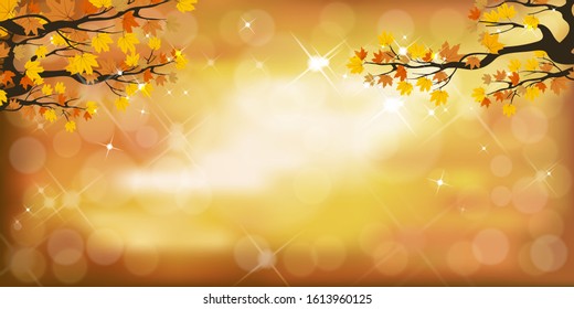 Vector Autumn design with branches tree in orange and red leaves on blurry bokeh background, Fall season concept with maple foliage on defocused sunlight effect with copy space for text.