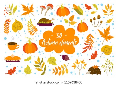 Vector Autumn design elements with oak and maple leaves, aspen, pumpkins,  acorn, corn, hedgehog, turkey, pumpkin pie, mushrooms.