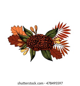 Vector autumn design. Leaves composition and bunch of rowan.
