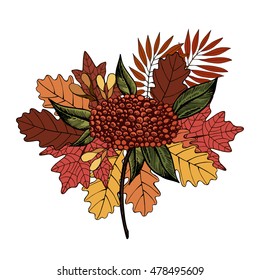 Vector autumn design. Leaves composition and bunch of rowan.