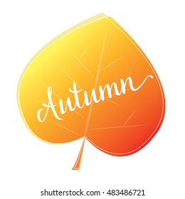 Vector Autumn design with orange Maple Leaf. Sale autumn, sale, hello autumn, orange leaf sale, autumn, autumn sale, gold autumn.