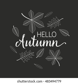 Vector Autumn design with orange Maple Leaf.