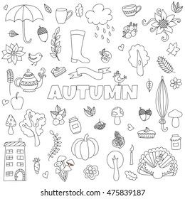 Vector Autumn Doodles Card Hand Draw Stock Vector (Royalty Free ...