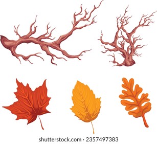 vector autumn dry tree icon, autumn leaves usually used for decoration, banner, poster